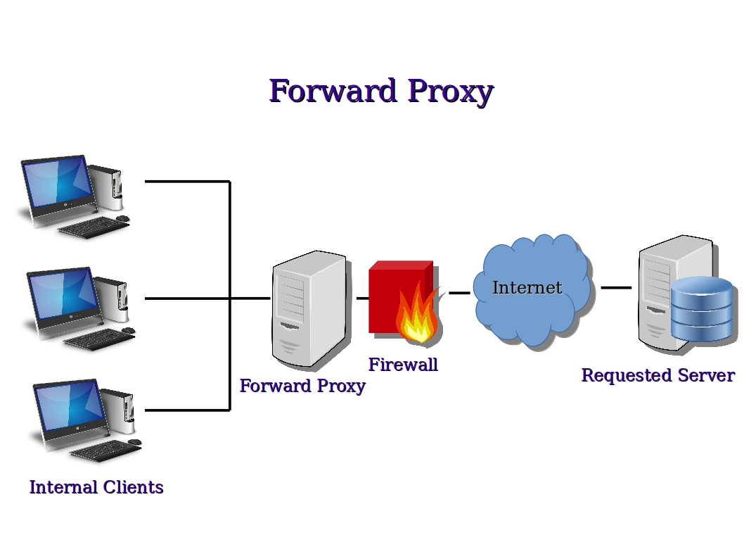 Jenis-Jenis Proxy Server yang Umum Digunakan di VPS Linux Pada Vps Linux di Indonesia