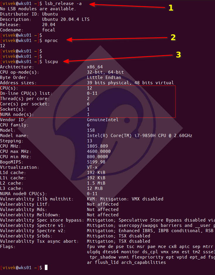 Bagaimana CPU Core Mempengaruhi Kinerja VPS Linux di Indonesia