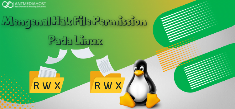 Mengelola Hak Akses dan Pengguna di VPS Linux untuk Bisnis: Pencegahan dan Pengamanan