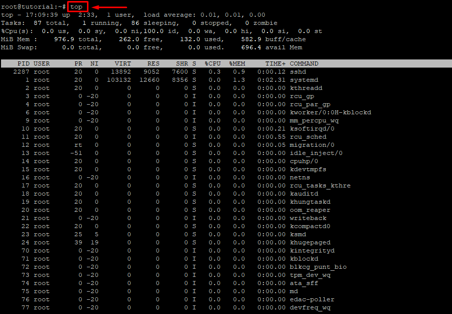 Mengenal Swap Memory di VPS Linux: Kapan dan Mengapa Anda Membutuhkan