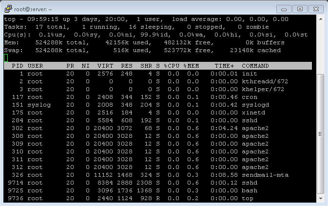 Panduan Memantau Kinerja Infrastruktur Bisnis Menggunakan VPS Linux di Indonesia