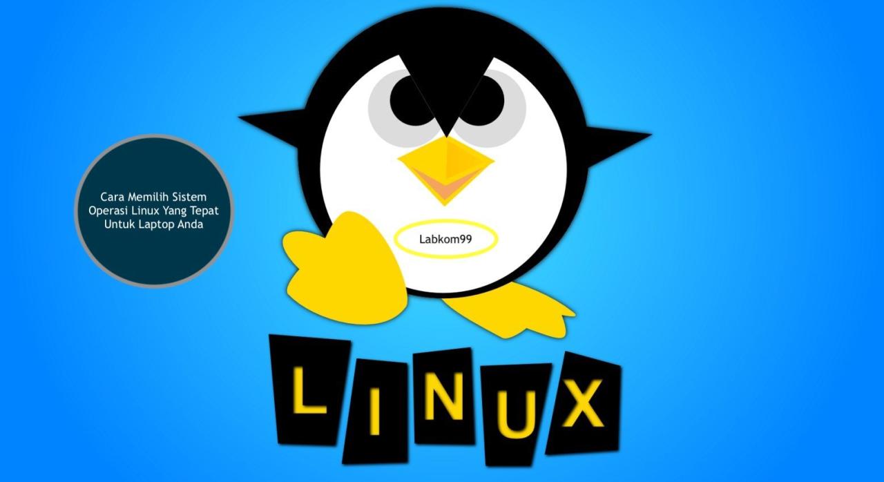 Memilih VPS Linux yang Tepat untuk Kebutuhan Anda: Panduan Lengkap