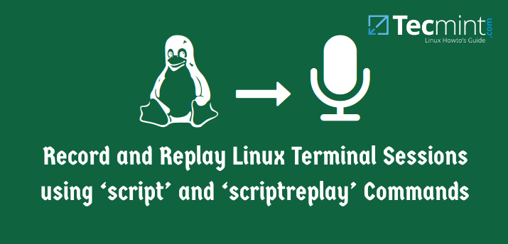 Menggunakan Terminal Untuk Menjalankan Script Pada VPS Linux: Panduan Lengkap