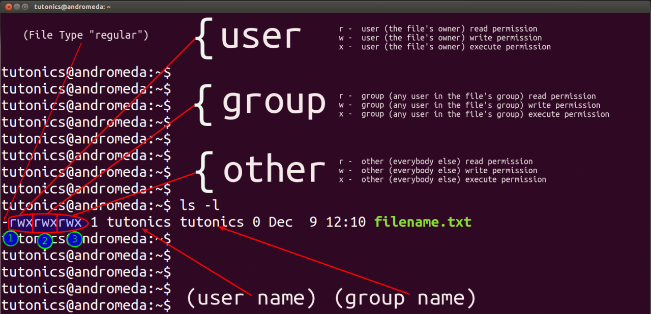 Mengelola File Permission dengan User dan Group Pada VPS Linux: Panduan Lengkap