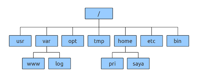 Mengelola Izin File dan Direktori Melalui SFTP Pada VPS Linux